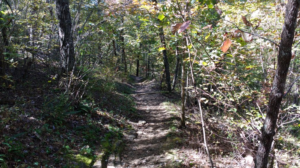 img_20191018_124636602.jpg