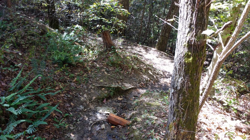 img_20191018_125440464.jpg