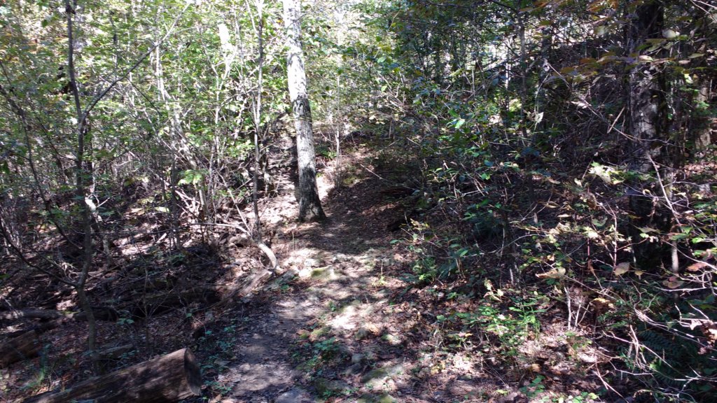 img_20191018_125824782.jpg