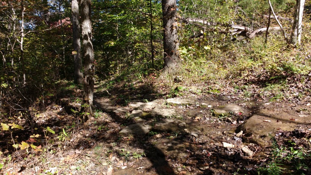 img_20191018_125905090.jpg