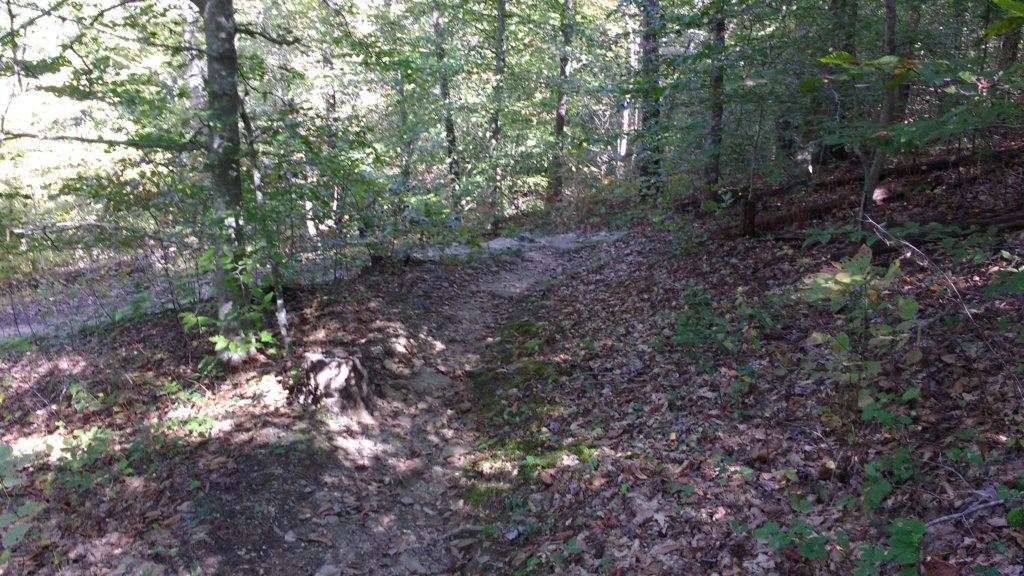 img_20191018_130029908.jpg
