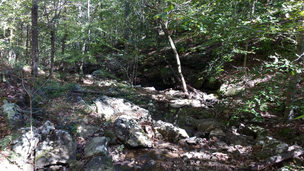 img_20191018_130439149.jpg