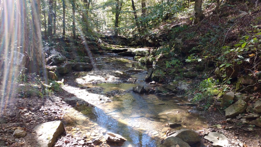 img_20191018_130455593.jpg