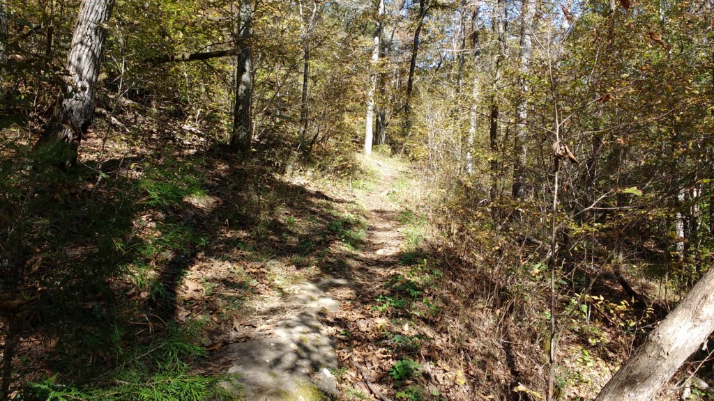 img_20191018_130553851.jpg