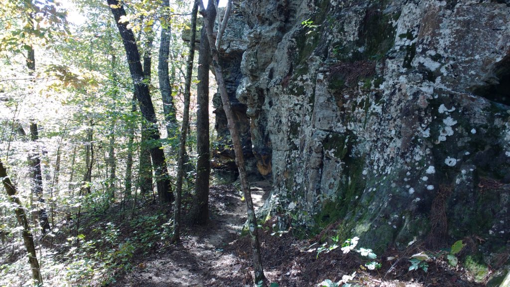 img_20191018_131321131.jpg