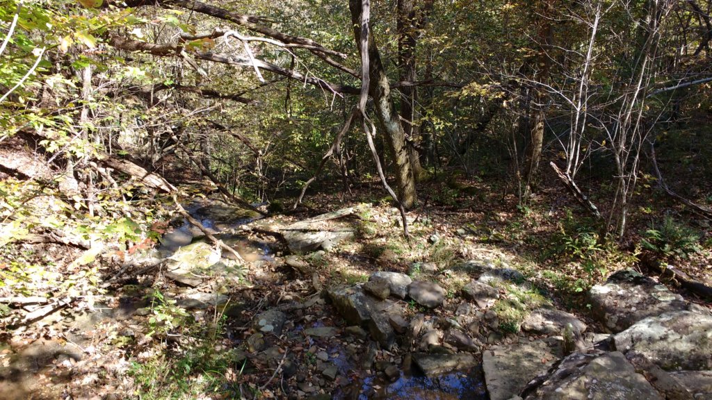 img_20191018_132503609.jpg