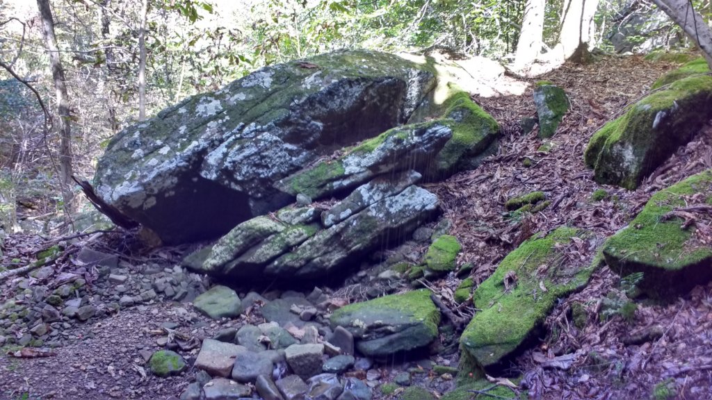 img_20191018_133034766_hdr.jpg