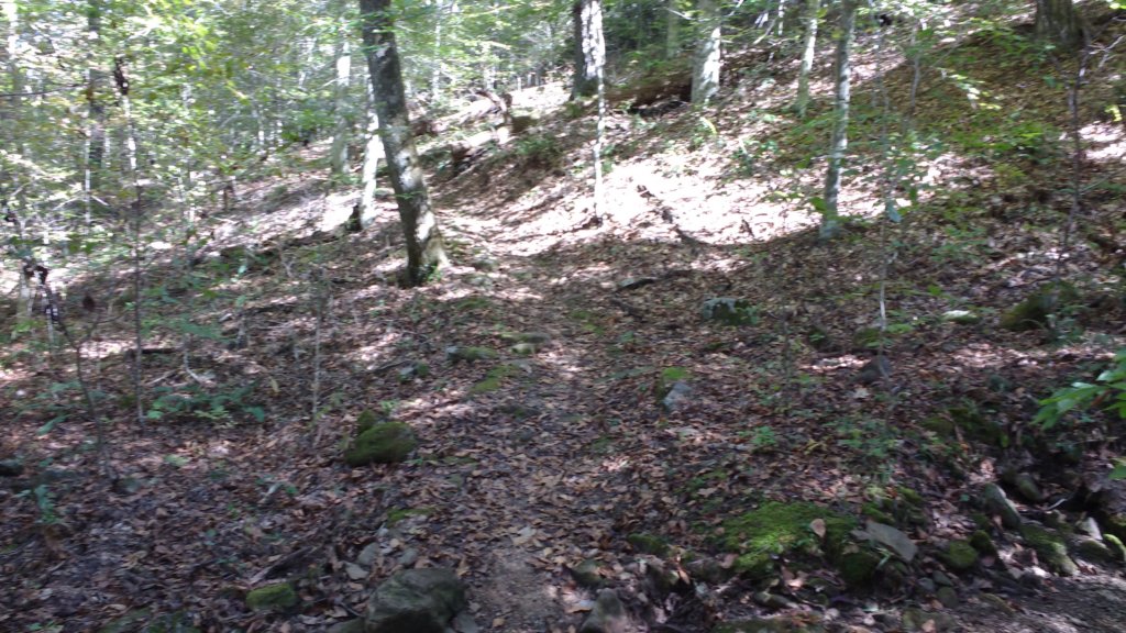 img_20191018_134059414.jpg