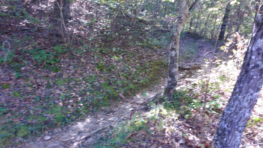 img_20191018_134541463.jpg
