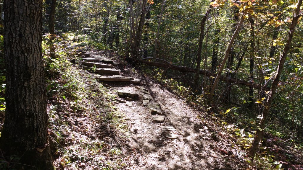 img_20191018_134716284.jpg