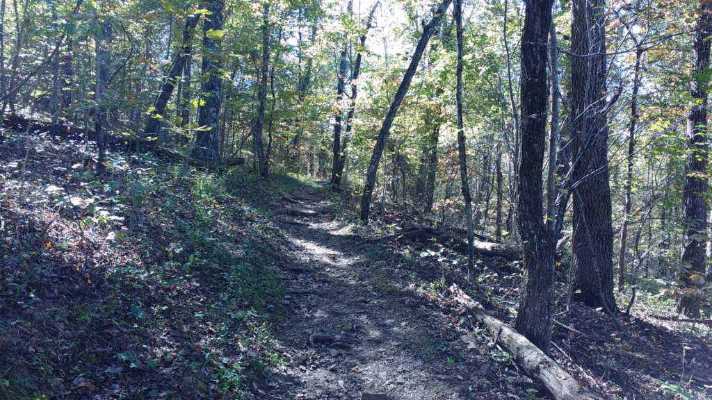 img_20191018_134949933.jpg