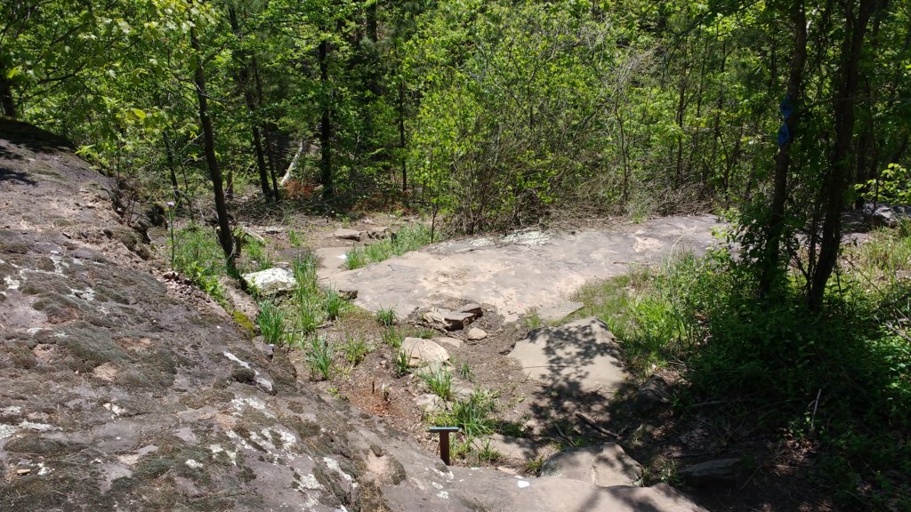 img_20180429_123536167.jpg