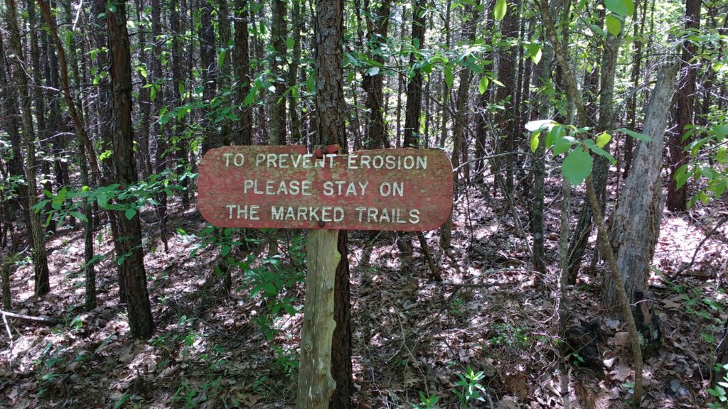 img_20180429_140206082.jpg