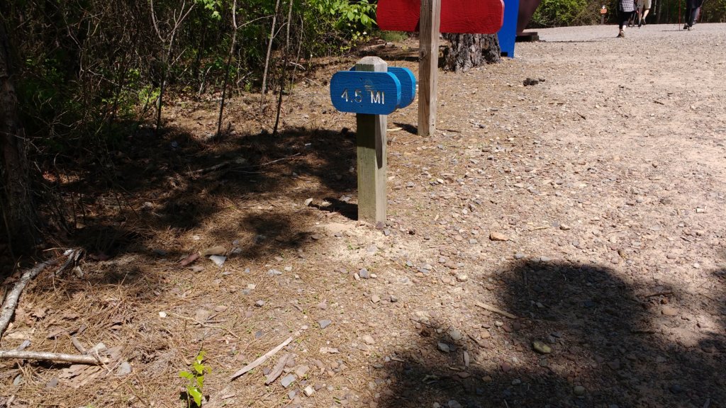 img_20180429_140551853.jpg