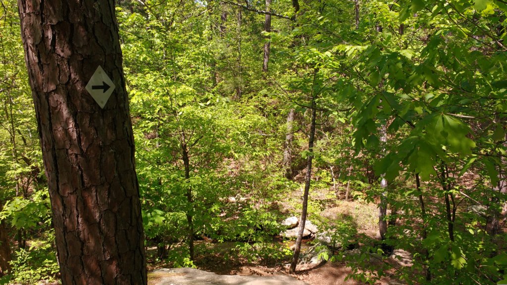 img_20180429_143813638.jpg