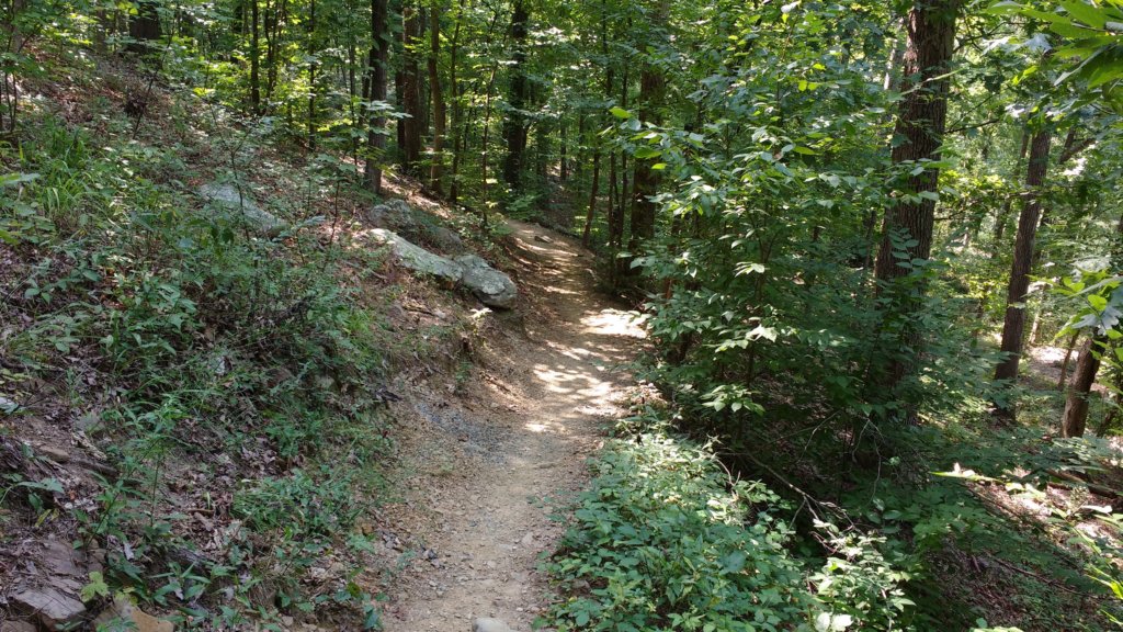 img_20170805_111456136.jpg
