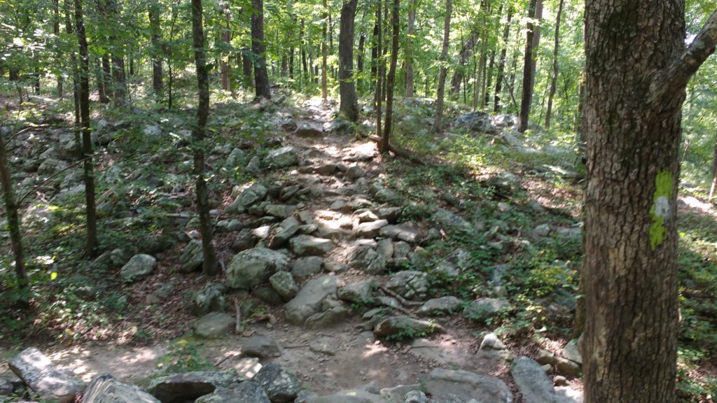 img_20170805_111642424.jpg
