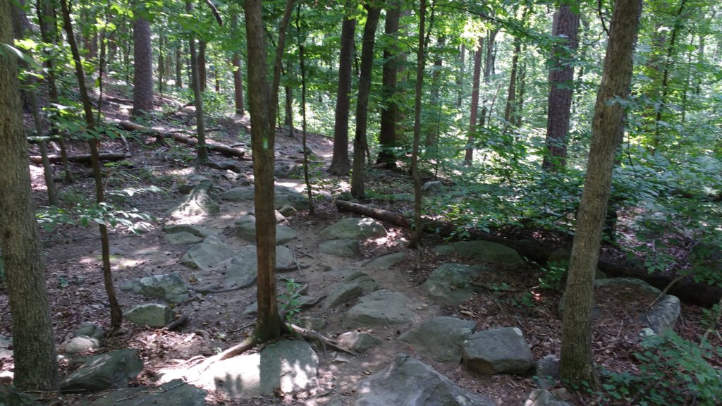 img_20170805_111925562.jpg