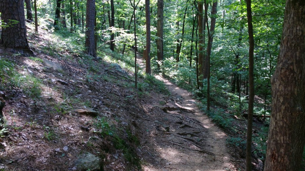 img_20170805_112159662.jpg