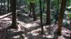 img_20170805_112326613_small.jpg