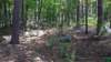 img_20170805_112621316_small.jpg