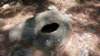 img_20170805_112641222_small.jpg
