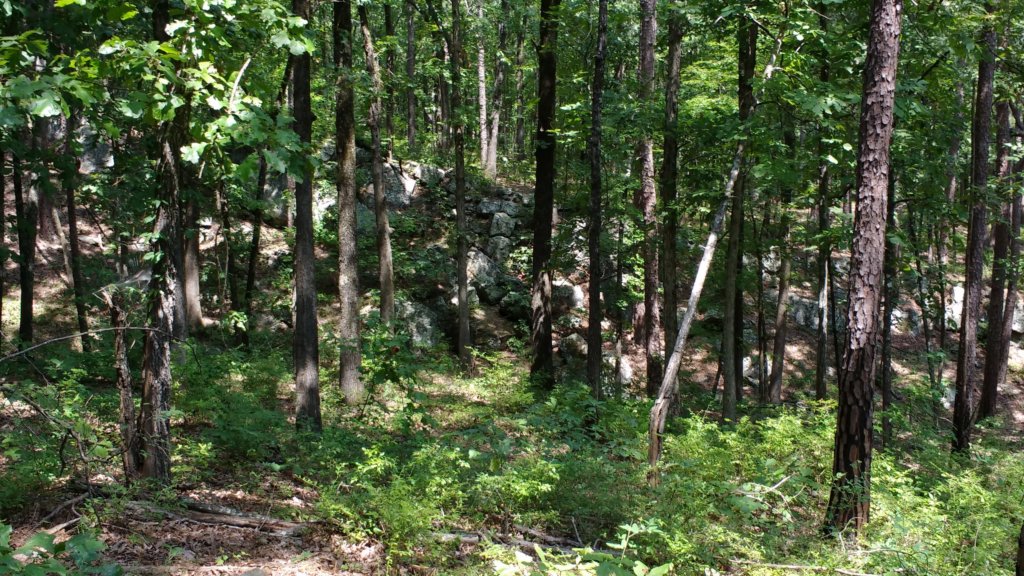 img_20170805_115823094.jpg