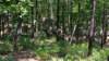img_20170805_115823094_small.jpg