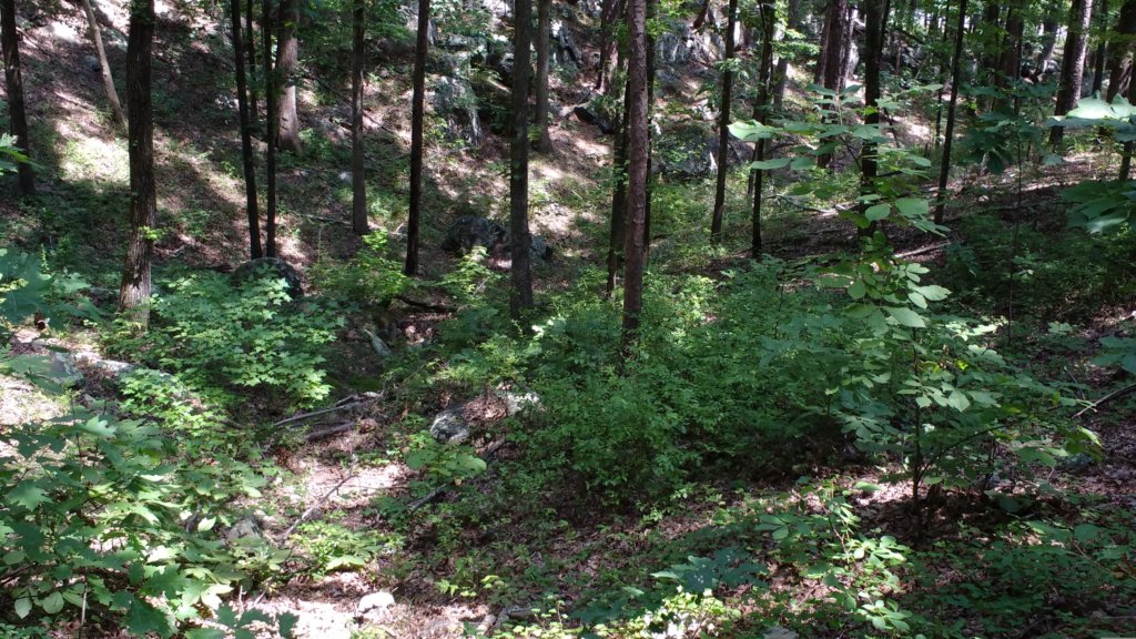 img_20170805_115914456.jpg