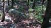 img_20170805_120147381_small.jpg