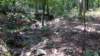 img_20170805_120611436_small.jpg