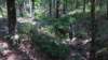 img_20170805_120616324_small.jpg
