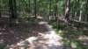 img_20170805_120722903_small.jpg