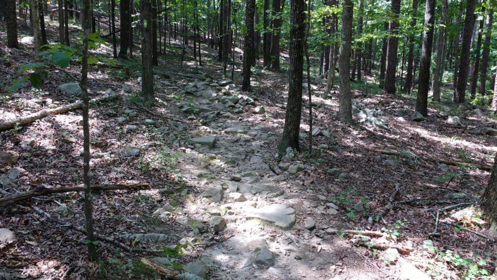 img_20170805_122210759.jpg
