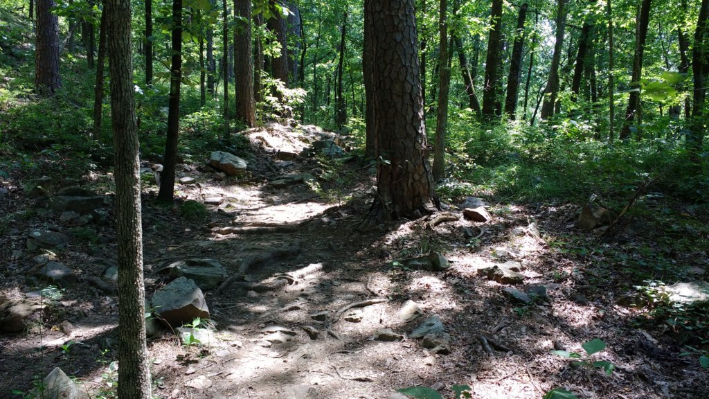 img_20170805_123722217.jpg