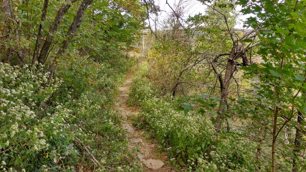img_20171001_110454690_hdr.jpg