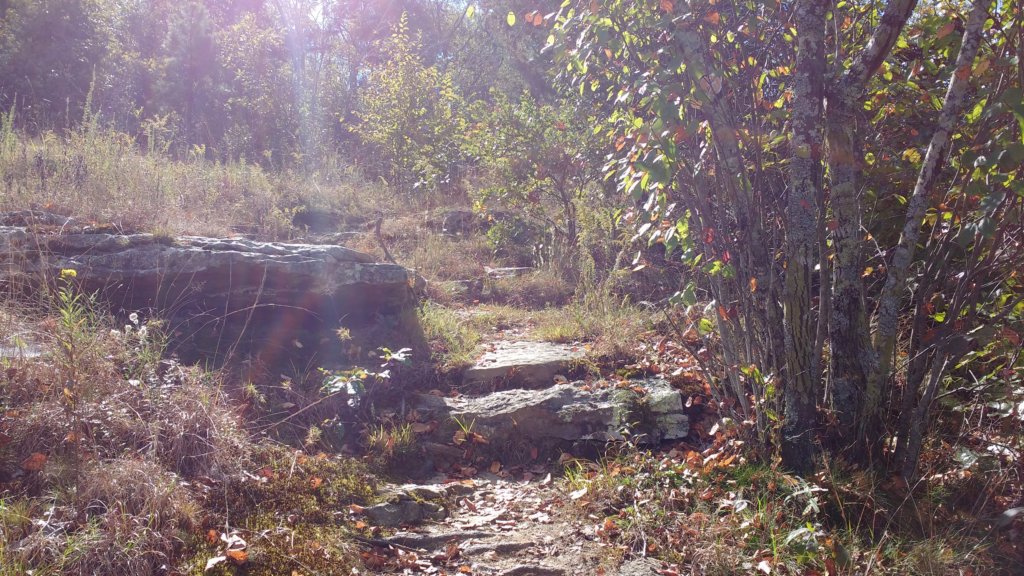 img_20171001_112015053.jpg