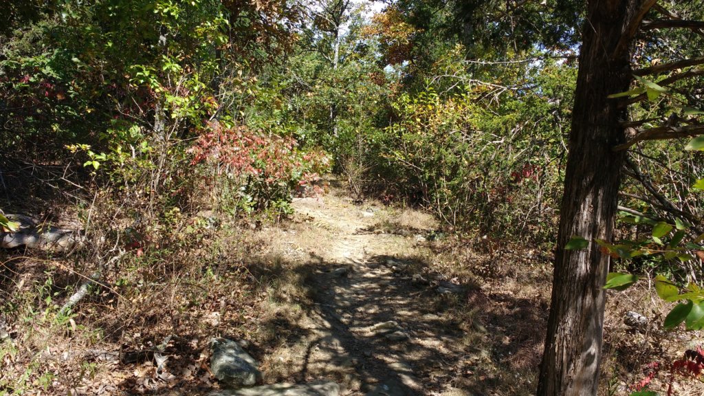 img_20171001_113209982.jpg