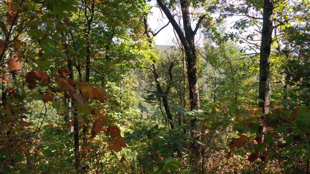 img_20171001_113620170.jpg