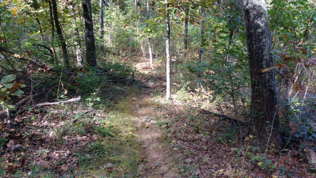 img_20171001_113917356.jpg