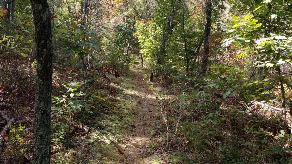 img_20171001_114257873.jpg