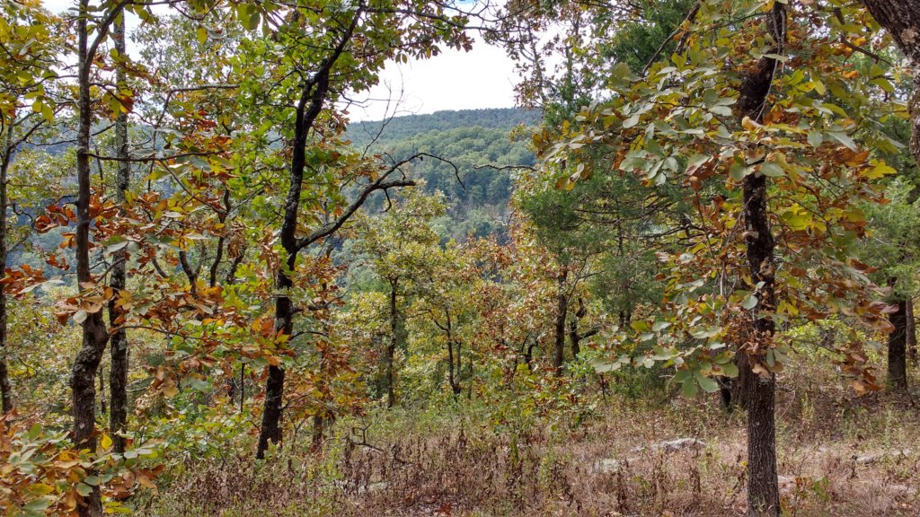 img_20171001_120913302_hdr.jpg