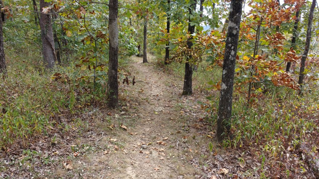 img_20171001_121402956.jpg
