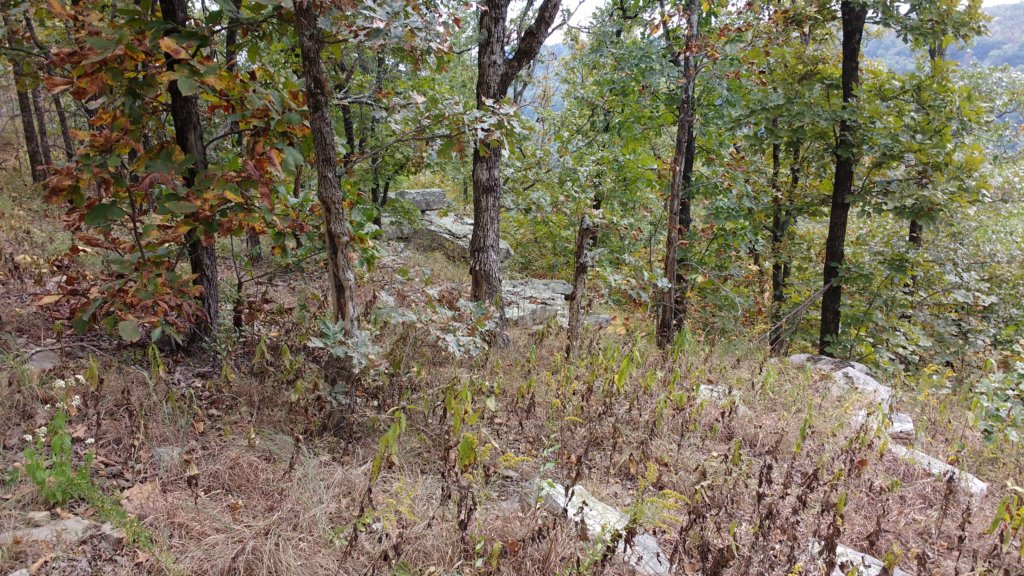 img_20171001_122107588.jpg