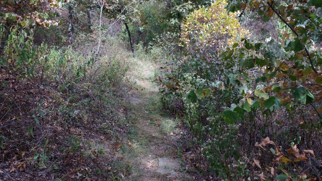 img_20171001_122809129.jpg