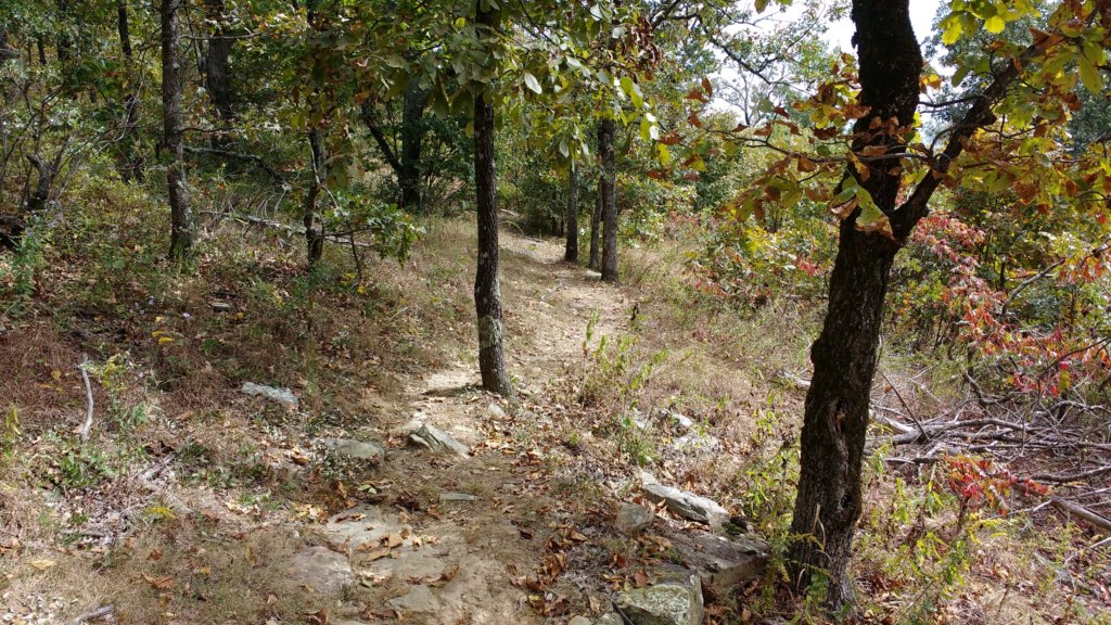 img_20171001_123930985.jpg