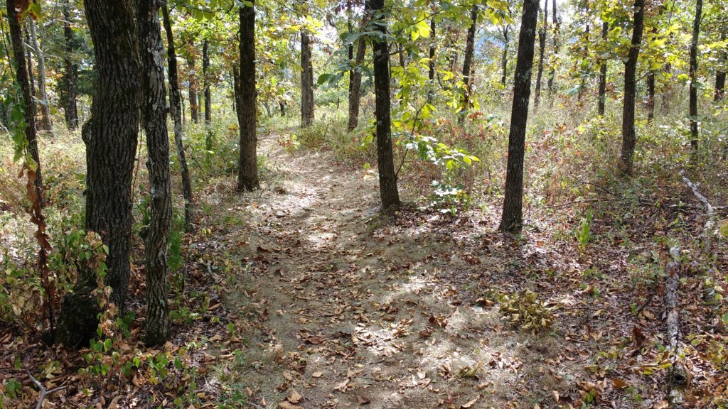 img_20171001_125136799.jpg