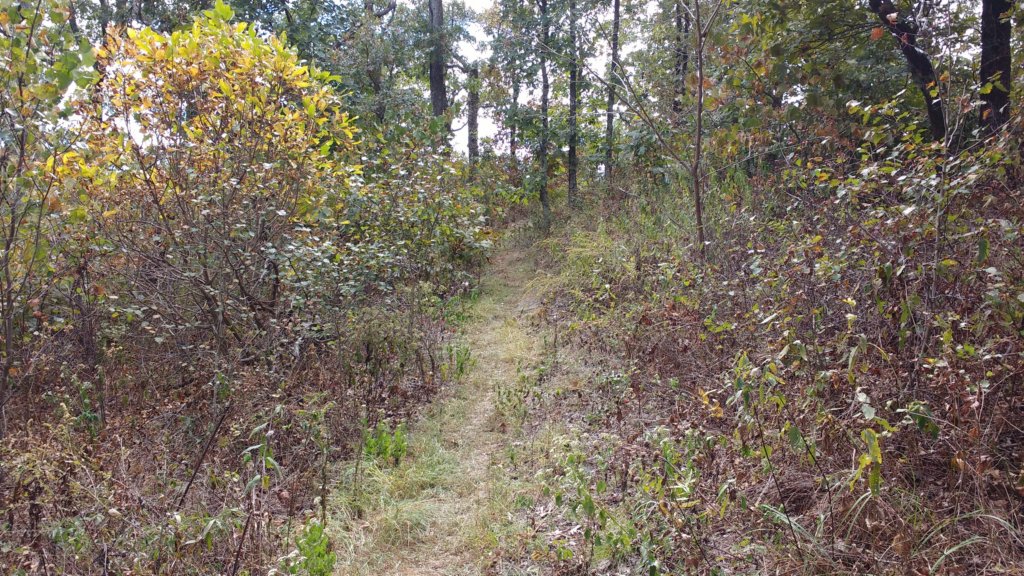 img_20171001_130410476.jpg