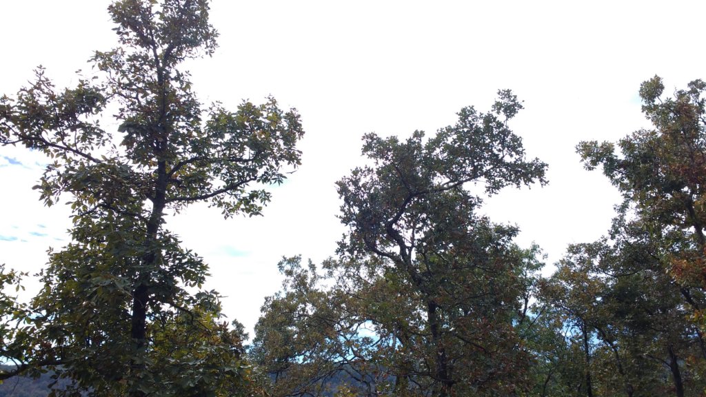 img_20171001_130729076.jpg