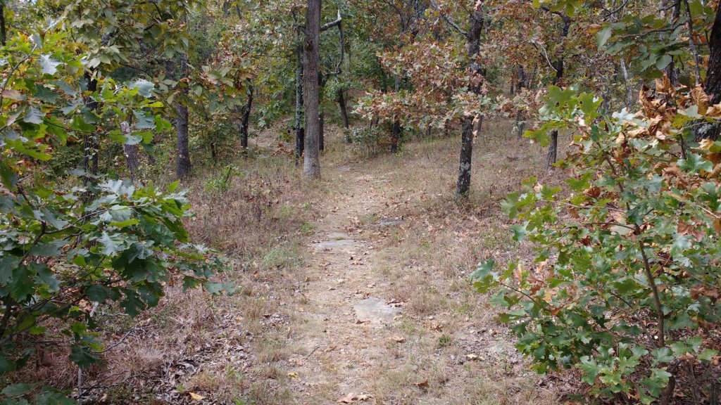 img_20171001_131150039.jpg